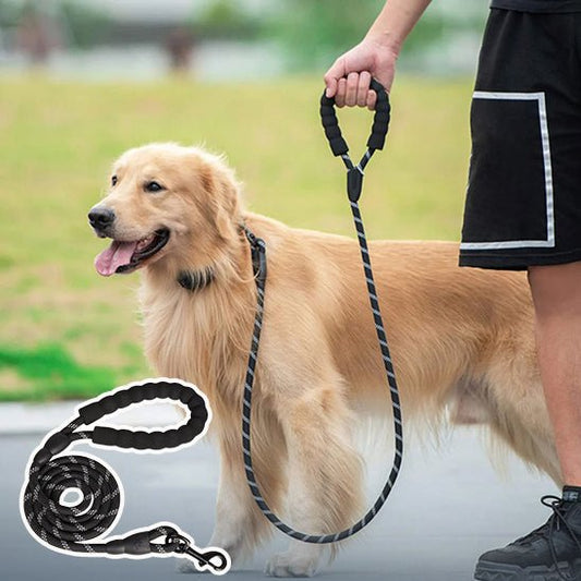 LAISSE POUR CHIEN ROBUSTE ET REMBOURRÉE - Chien - enchante