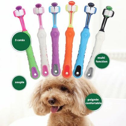 BROSSE À DENTS 3 COTÉS | TOTAL CLEAN™ - Chien-enchante