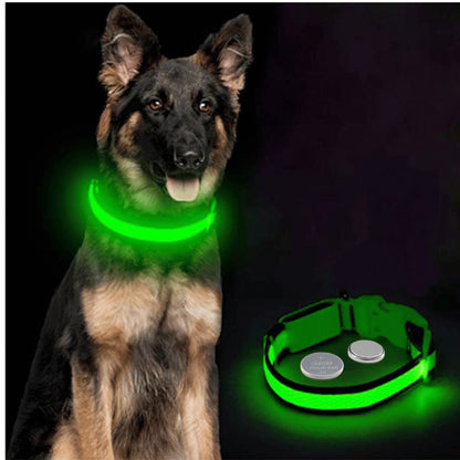 COLLIER LUMINEUX POUR CHIEN | SAFETY COLLAR™ - Chien-enchante