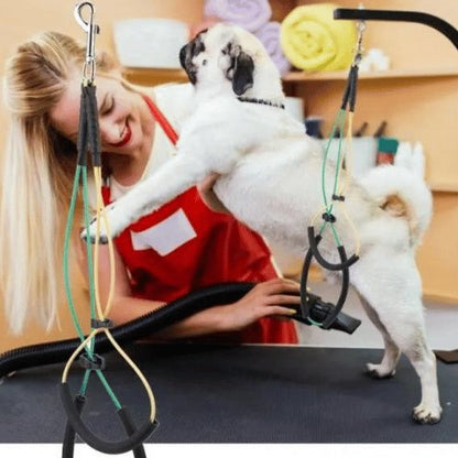 HARNAIS DE TOILETTAGE AJUSTABLE | PERFECT GROOMING™ - Chien-enchante